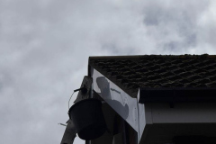 88ffda5d-3cd9-41dd-b0a9-a95538bd803f